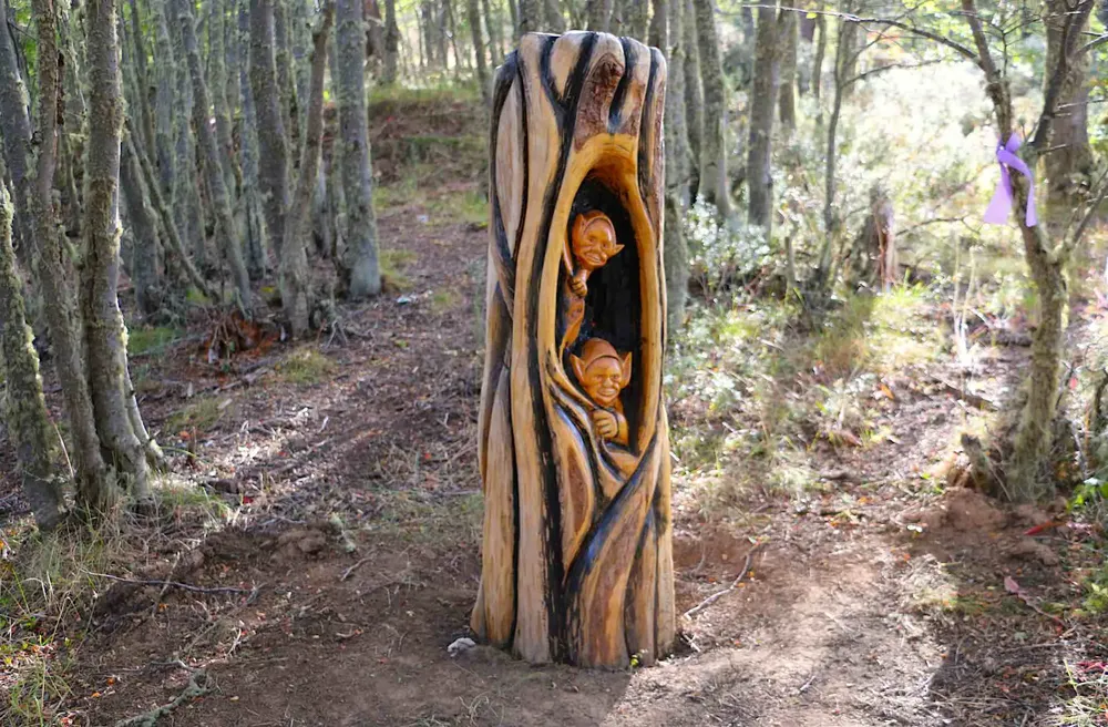 bosque1